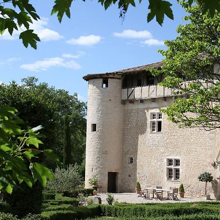 Château de Mayragues Castelnau-de-Montmiral Exterior foto