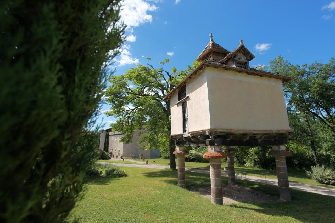 Château de Mayragues Castelnau-de-Montmiral Exterior foto